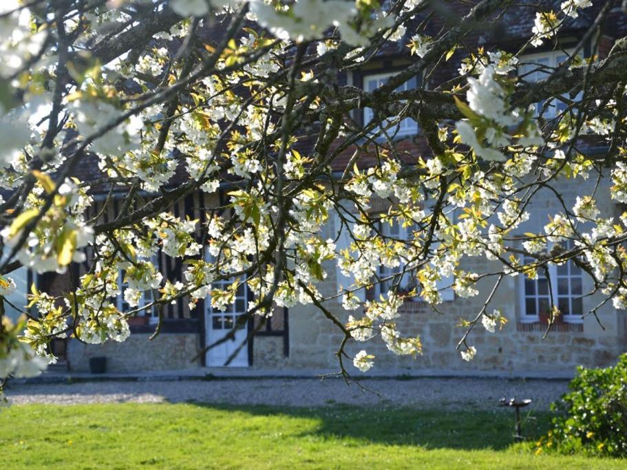Maison D'Hotes La Bihoree Saint-Germain-de-Livet エクステリア 写真